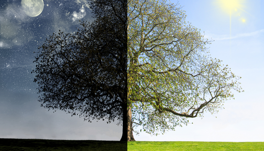 Winter vs. Summer Hockey: What’s the Difference?