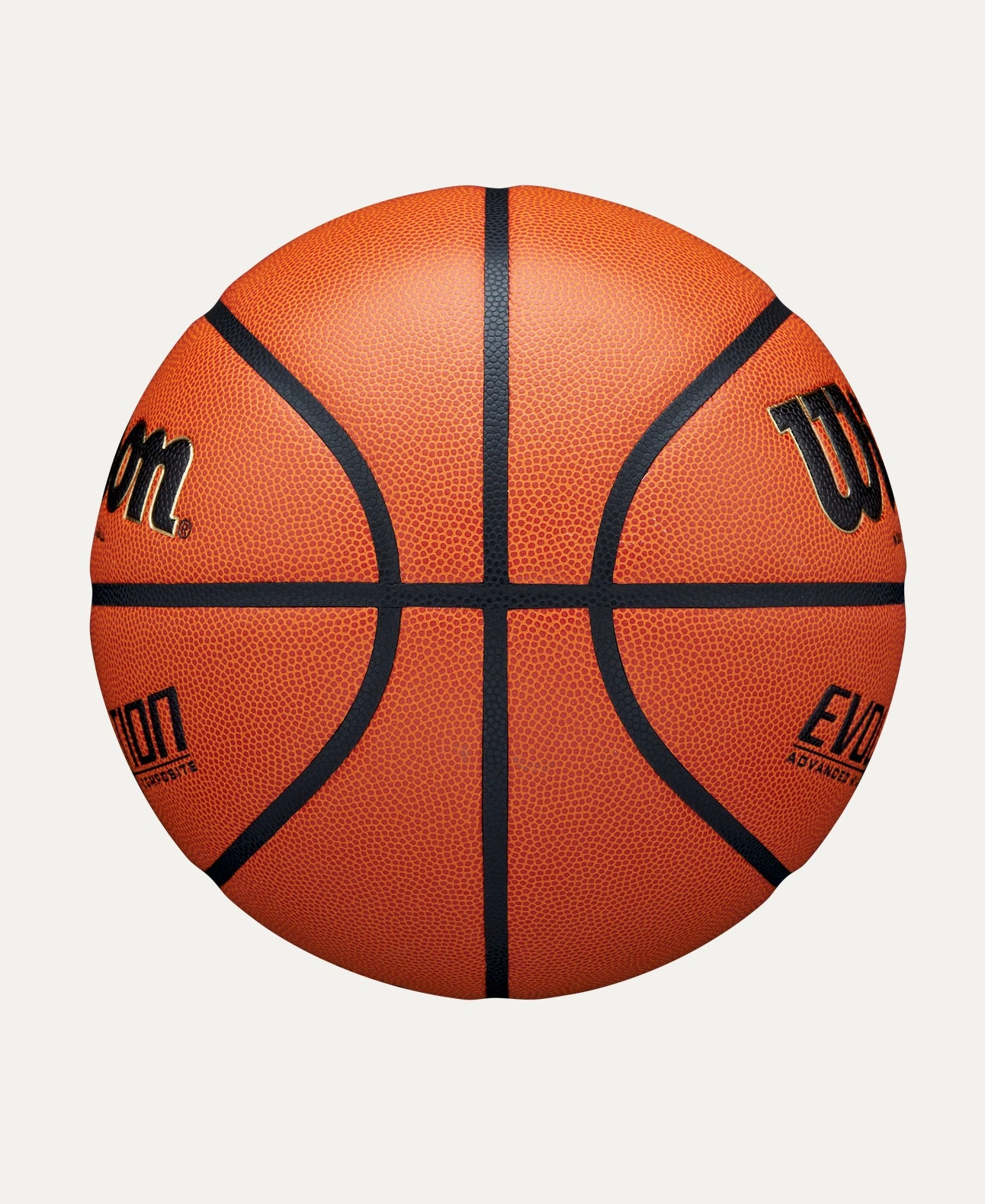 Evolution Game Basketball