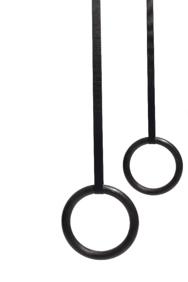 MD Buddy Poly Carbonate Gym Rings